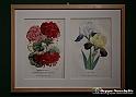 VBS_1739 - Castello di Miradolo - Mostra Oltre il giardino l'Abbecedario di paolo Pejrone